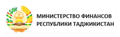 Министерство финансов РТ