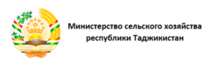 Group 2087329134